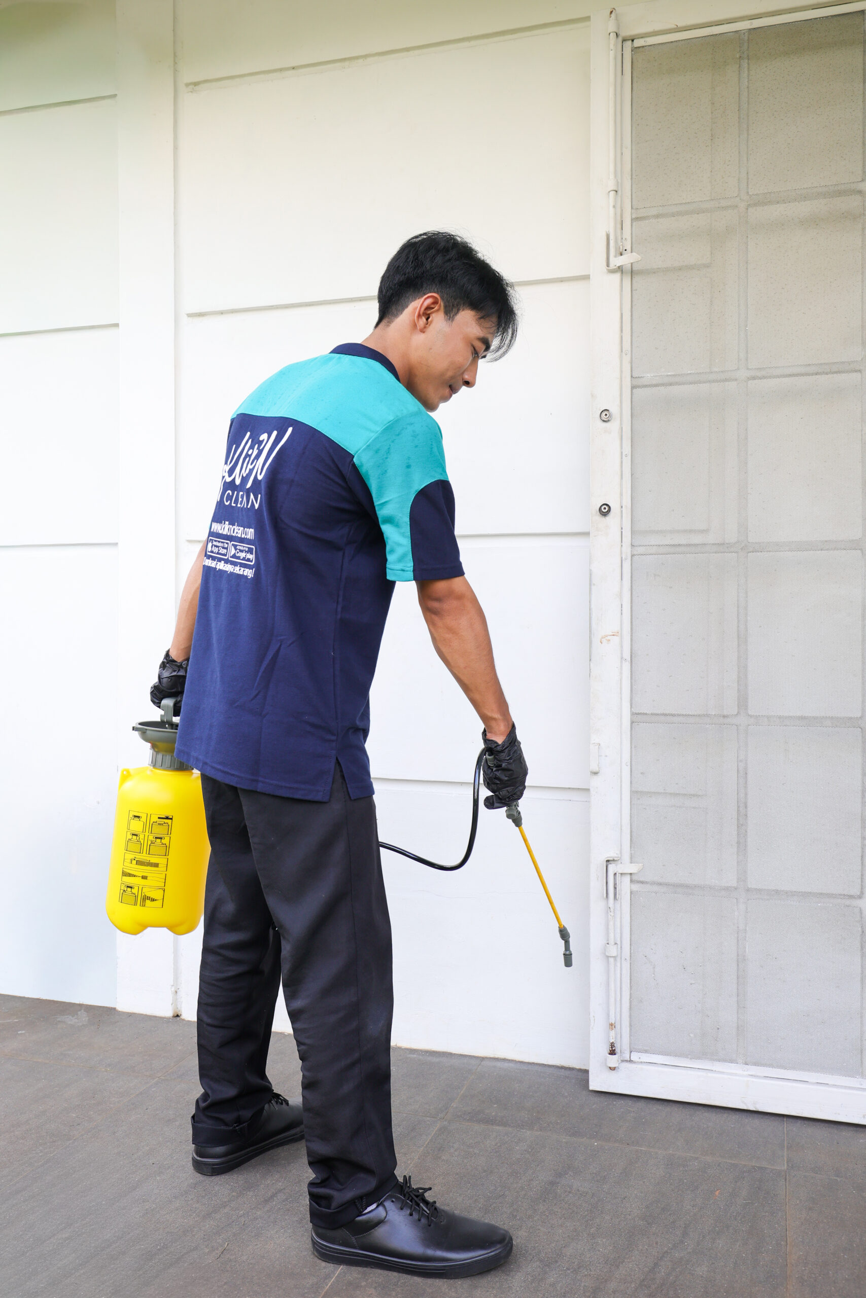 Rayap Mulai Muncul di Rumah? Kapan Perlu Pest Control?