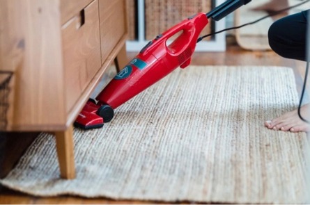 Jasa Pembersih Tungau