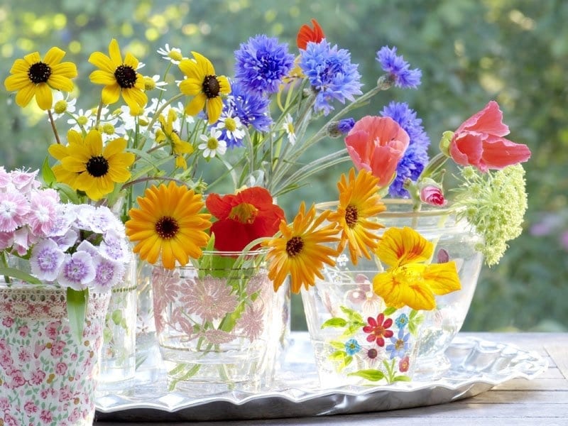 Tips Sederhana Menjaga Buket Bunga Hidup Lebih Lama